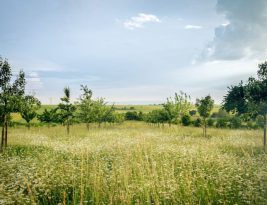Navigating the Social Enterprise Ecosystem: a Guide