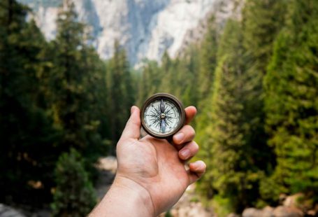 Ethical Compass - person holding compass facing towards green pine trees