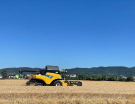 Social Entrepreneurship in Rural Areas: Opportunities and Challenges
