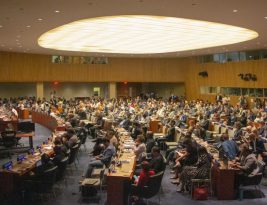 The Role of Social Entrepreneurship in Achieving the Sdgs