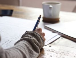 The Importance of Mentorship in Social Entrepreneurship