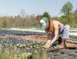 Sustainable Agriculture as an Investment Opportunity
