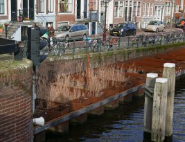 Water Projects: a Vital Area for Social Investment