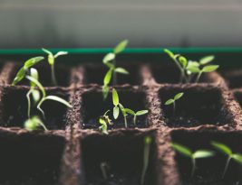 The Importance of Sustainability in Modern Business