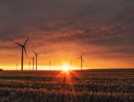 Renewable Energy for Businesses: Getting Started