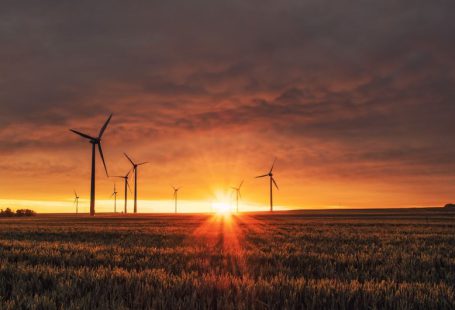 Renewable Startup - windmill on grass field during golden hour