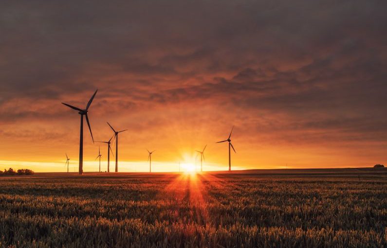 Renewable Startup - windmill on grass field during golden hour