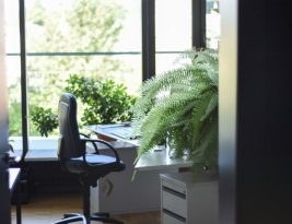 The Benefits of a Green Office Space
