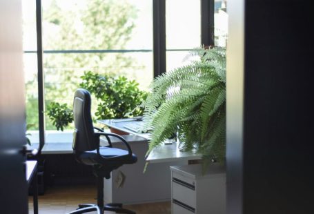 Green Office - black leather rolling armchair near white wooden desk