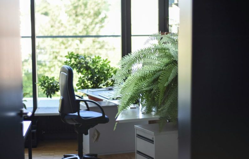 Green Office - black leather rolling armchair near white wooden desk