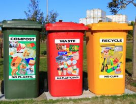 Recycling in Business: How to Start a Program