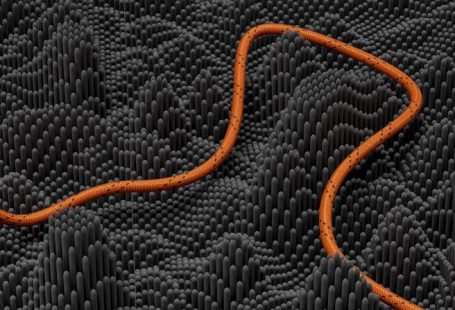 Economic Benefits - an orange snake is on a black background