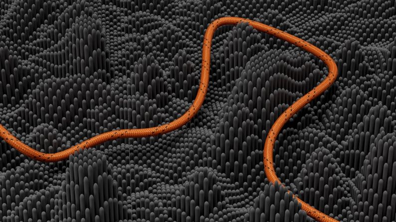 Economic Benefits - an orange snake is on a black background