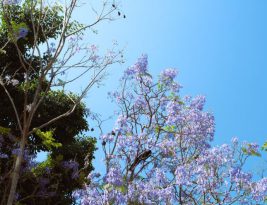 The Global Impact of Eco-friendly Businesses