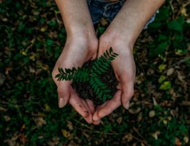 Sustainable Tourism: Opportunities for Eco-friendly Business Growth