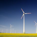 Partnerships Sustainability - windmills on grass field at daytime