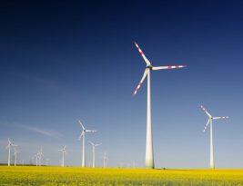 Building Partnerships for Sustainability in Business