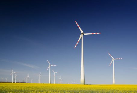 Partnerships Sustainability - windmills on grass field at daytime