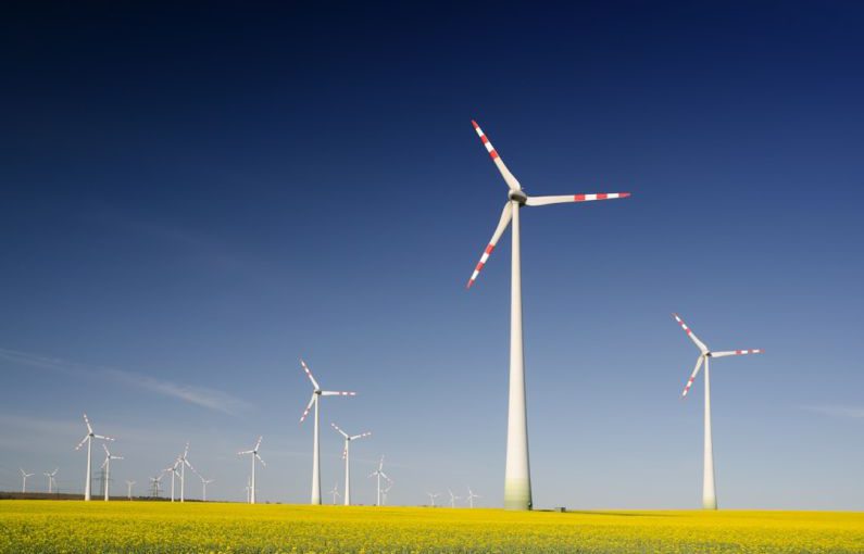 Partnerships Sustainability - windmills on grass field at daytime
